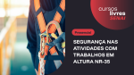 SEGURANÇA NAS ATIVIDADES COM TRABALHOS EM ALTURA NR-35