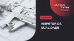 INSPETOR DA QUALIDADE
