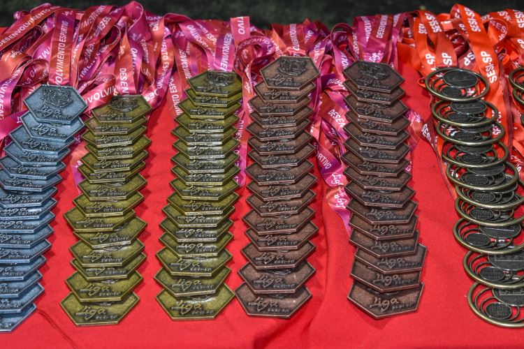 Liga Fomento de Hóquei 2024