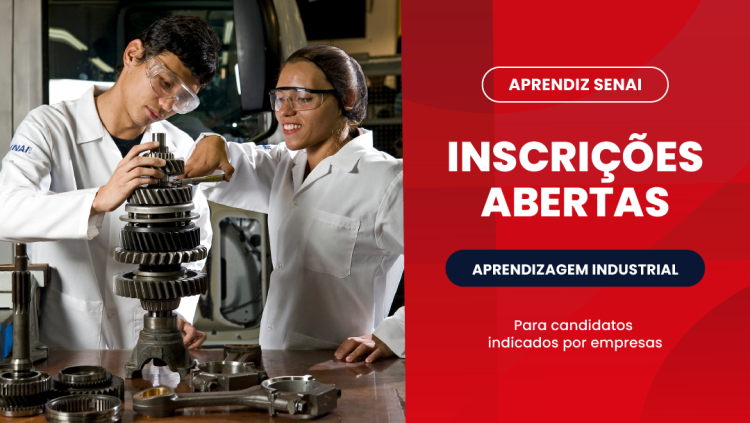 Processo Seletivo 2025 Aprendizagem Industrial - Encaminhados por Empresa