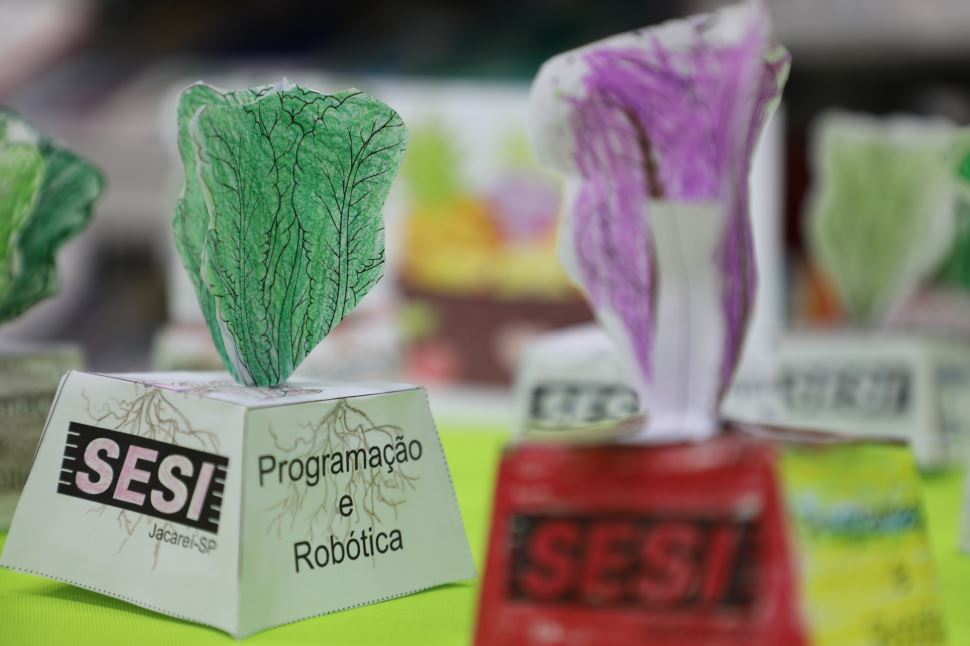 Saúde é tema de projeto interdisciplinar na escola 