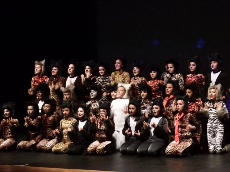 festival de dança de americana