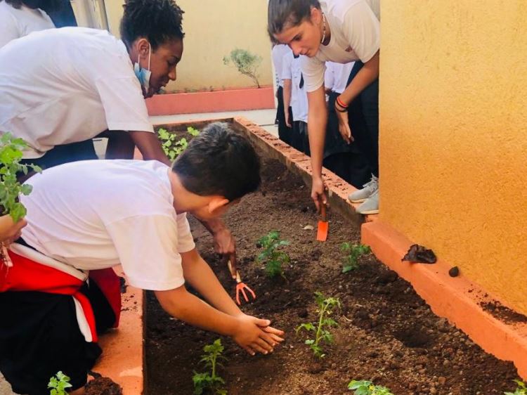 Horta Pedagógica Sesi 