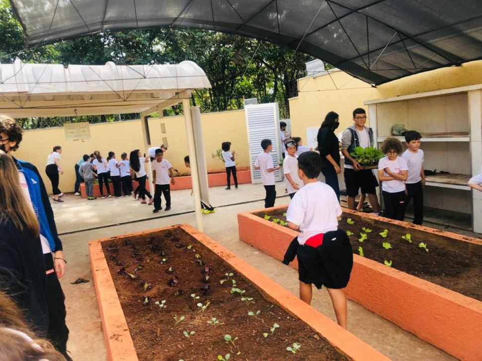 Alunos do Sesi Santa Bárbara desenvolvem horta educativa