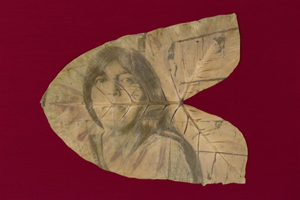 Sesi Amoreiras recebe exposição Terra Terreno Território