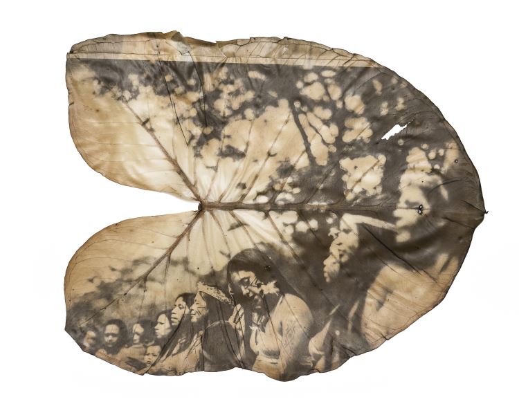 Dani Sandrini, artista do projeto terra terreno território, fotografada por Bruna Bombarda