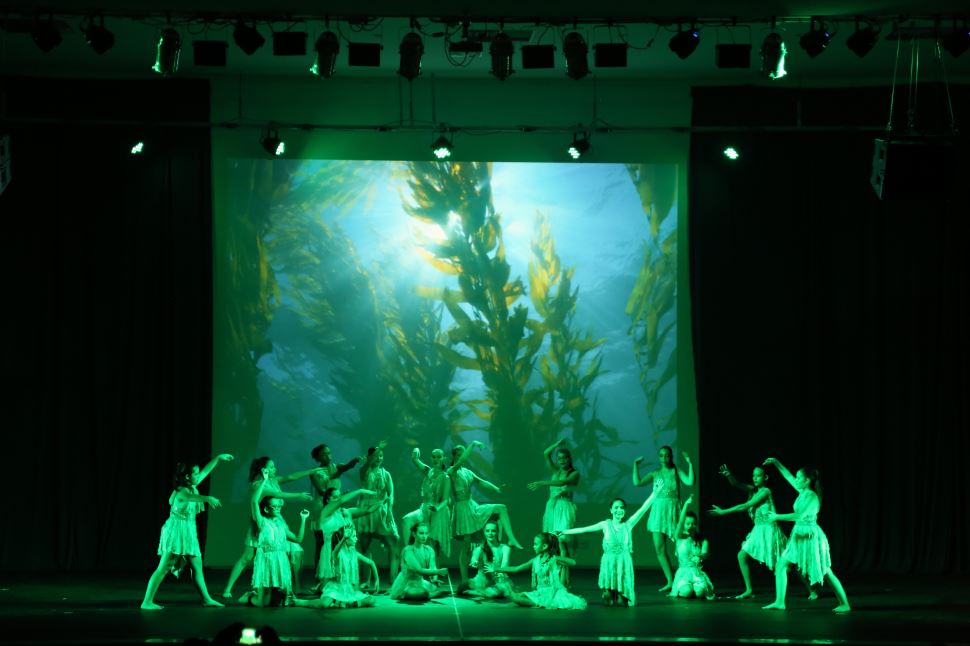 Festival de Dança do SESI Araraquara encanta o público no CEAR