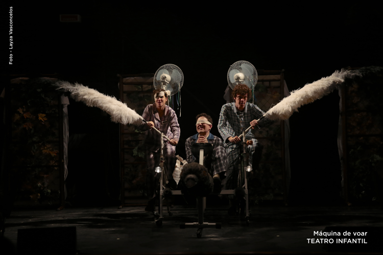 Maquima de voar foto ligia jardim