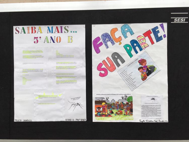 ação contra a dengue