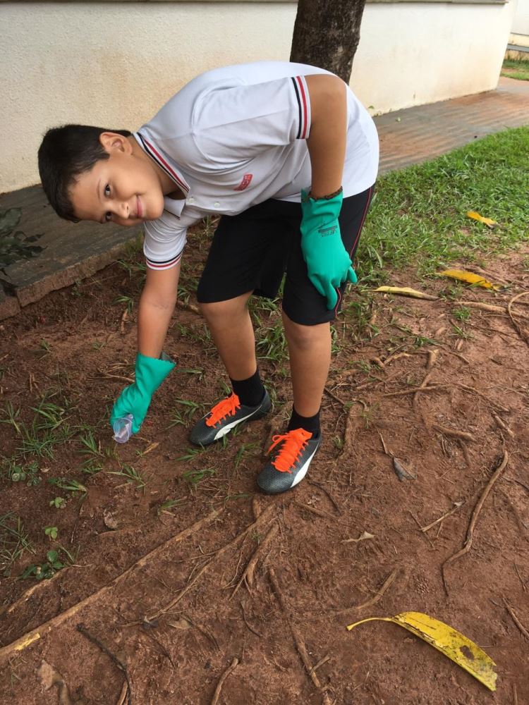 ação contra a dengue