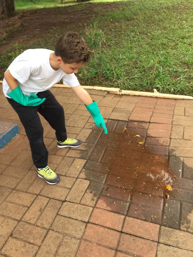 ação contra a dengue