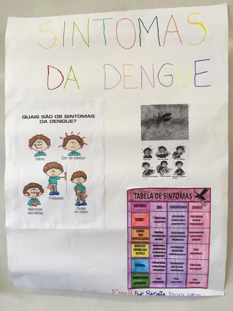ação contra a dengue