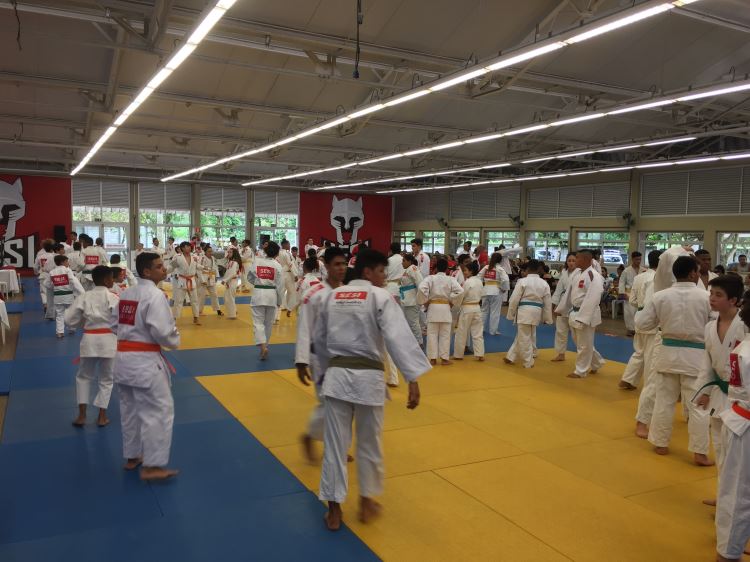 Judo_Liga