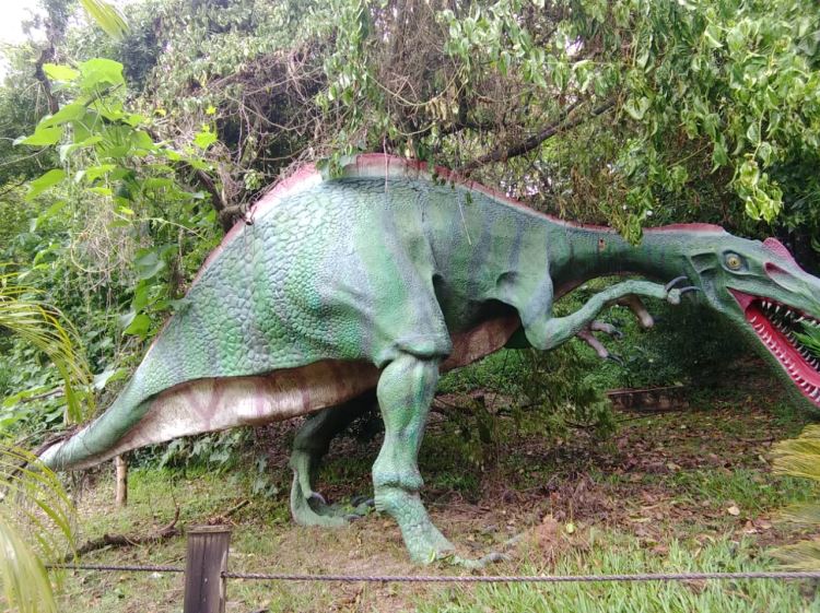 Circuito dos Dinossauros 