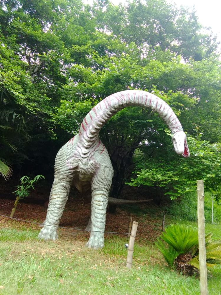 Circuito dos Dinossauros 