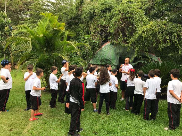 Circuito dos Dinossauros 