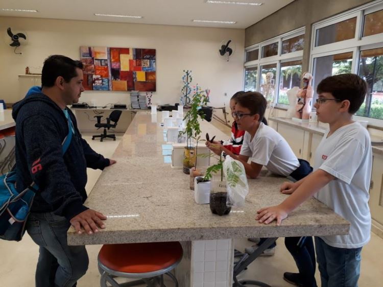 SESI Avaré - Produtos finais