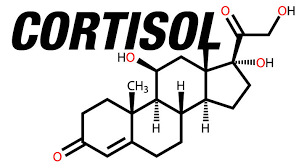 Vem conferir as dicas relacionadas ao cortisol, da nutricionista Raquel Ferrari do SESI Botucatu
