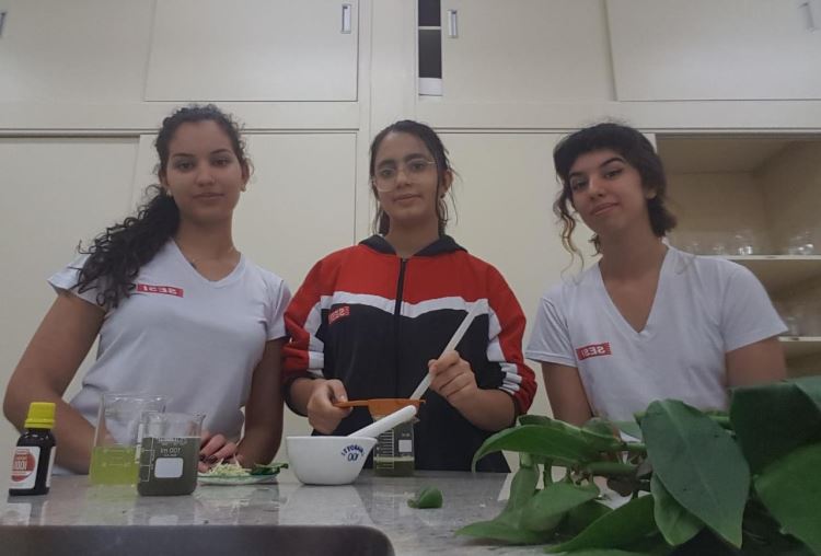 Amido da Ora-pro-nóbis 