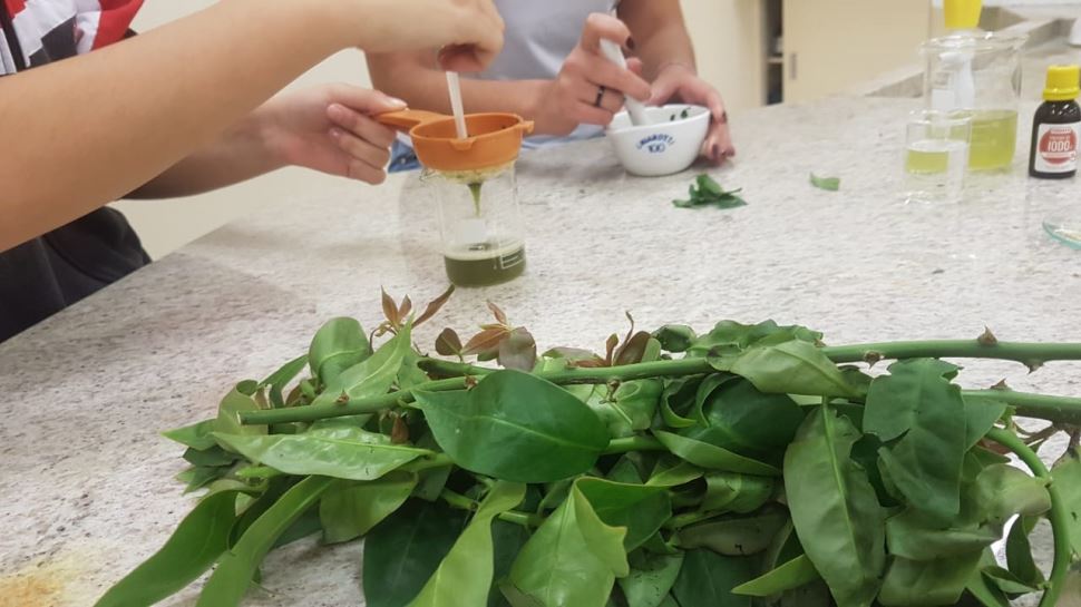 Projeto interdisciplinar de produção de polímeros sustentáveis: Estudo sobre processos de extração de amido da Ora-pro-nóbis