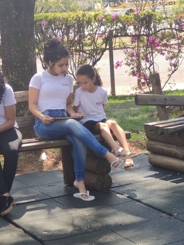 Padrinhos literários