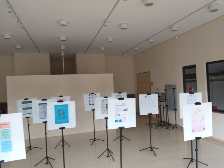 Iniciação científica