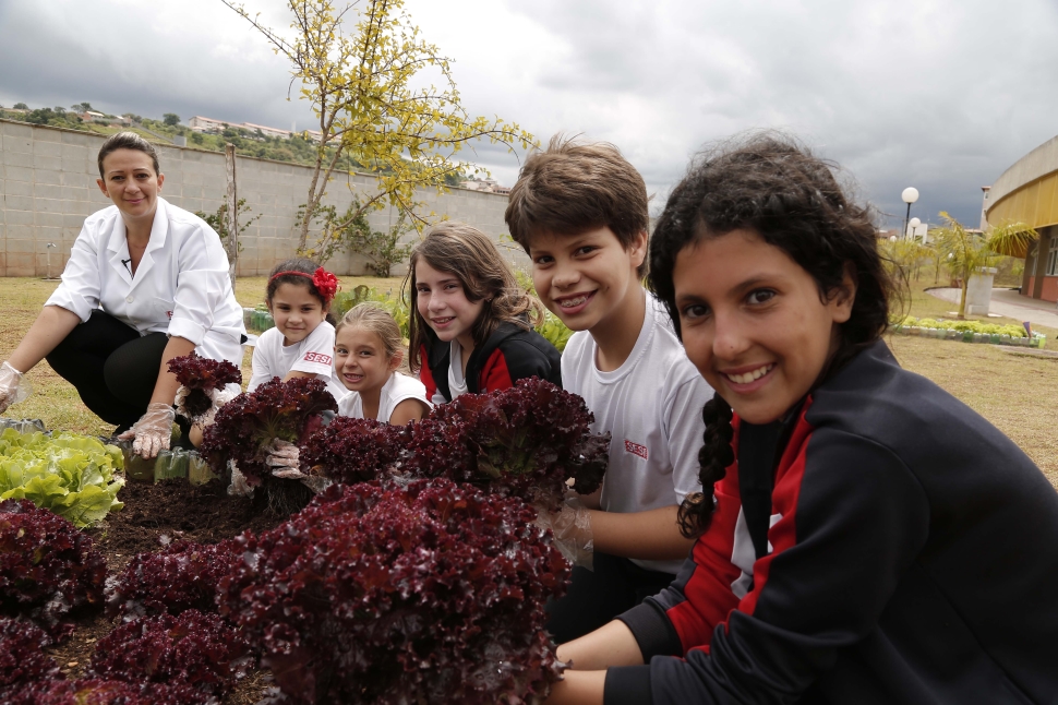 Sistema de compostagem da horta escolar reduz custos no cultivo e impacto no meio ambiente