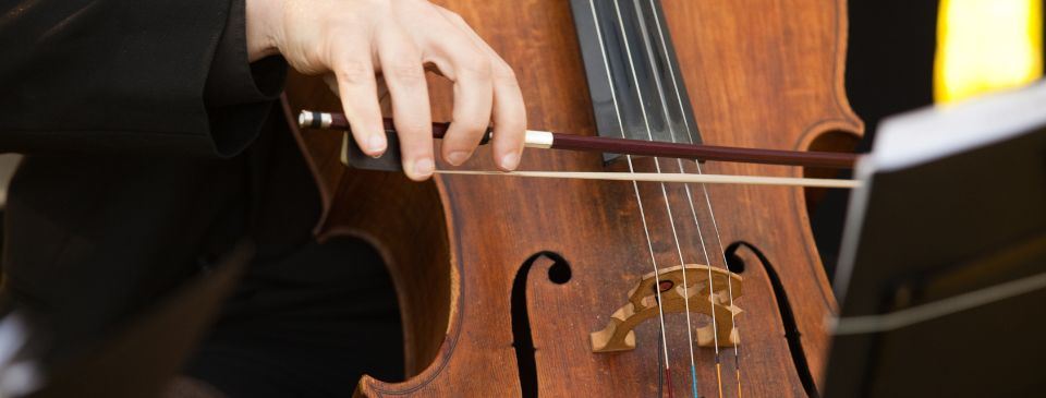 Pré-inscrições abertas para curso de cordas friccionadas graves no Sesi Diadema