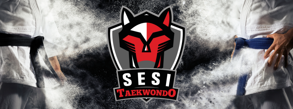 Inscrições abertas para seletiva de taekwondo 