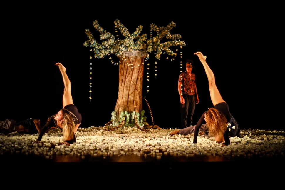 Pé de Cachimbo no SESI Itapetininga