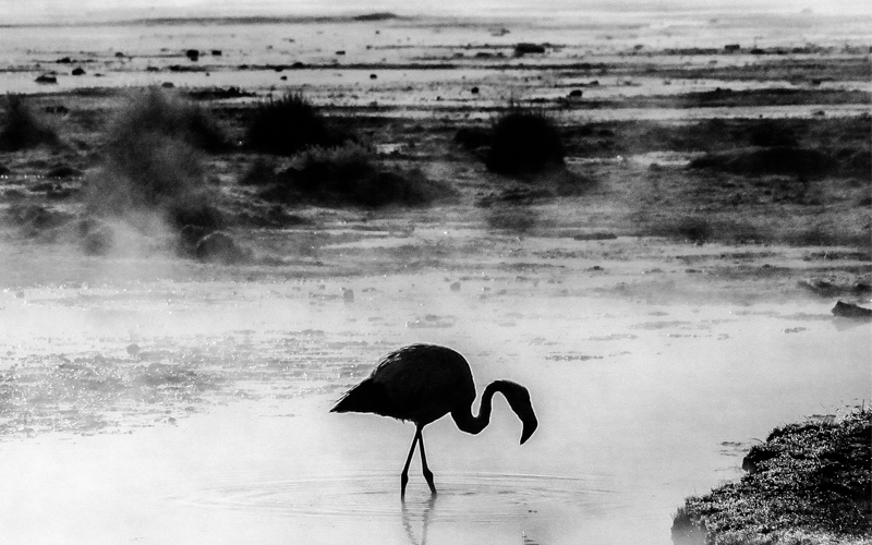 Exposição no SESI Itu convida o público a redescobrir a América Latina