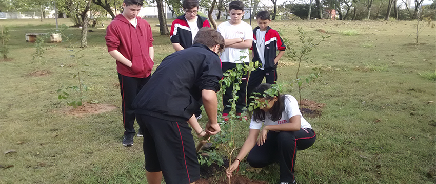 Embaixadores do Esporte participam de ação de plantio de mudas