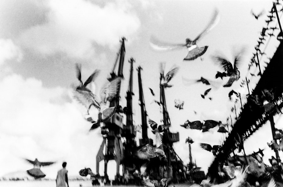 SESI JAÚ APRESENTA A EXPOSIÇÃO "A SOMBRA DO PORTO"