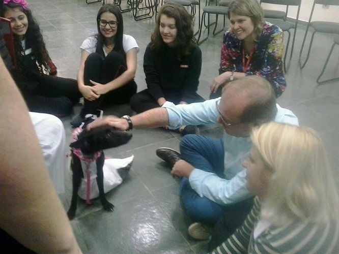 Alunos desenvolvem cadeirinha para cadela que perdeu o movimento das patas traseiras