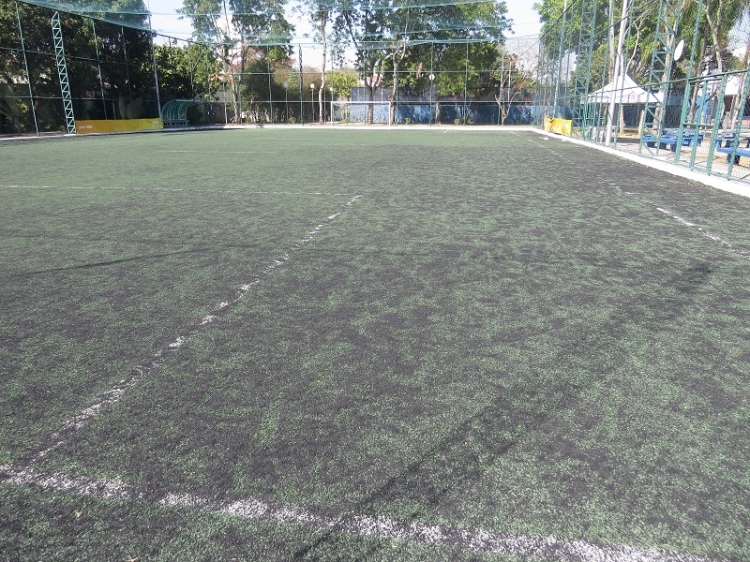 Campo 