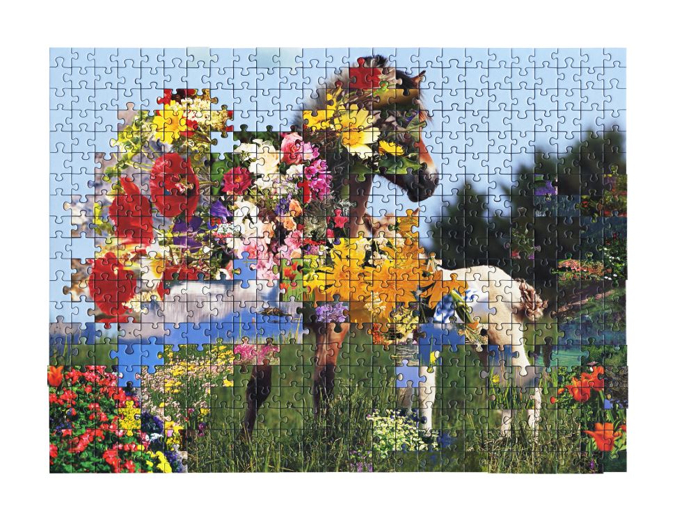 Mostra que discute o potencial criativo da fotografia estreia no Sesi