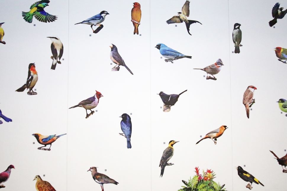 Ocupação Artística: Sinfonia