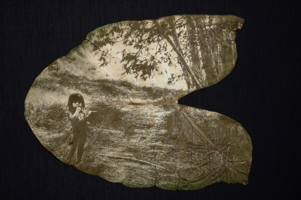 Nova exposição traz reflexão sobre ser indígena em grandes cidades   