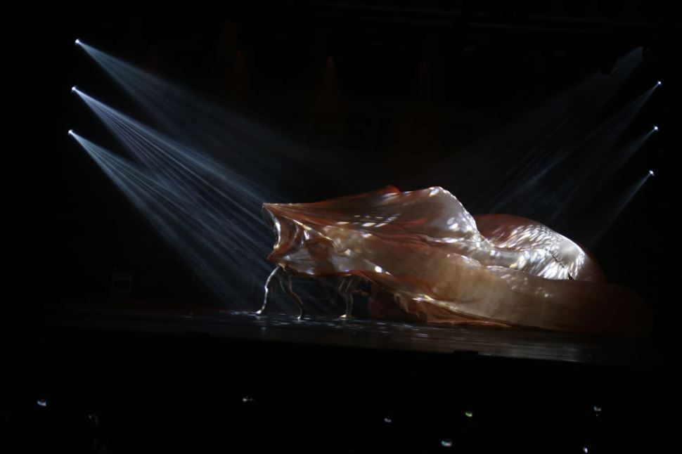 Apresentação dos Núcleos de Dança emociona o público 