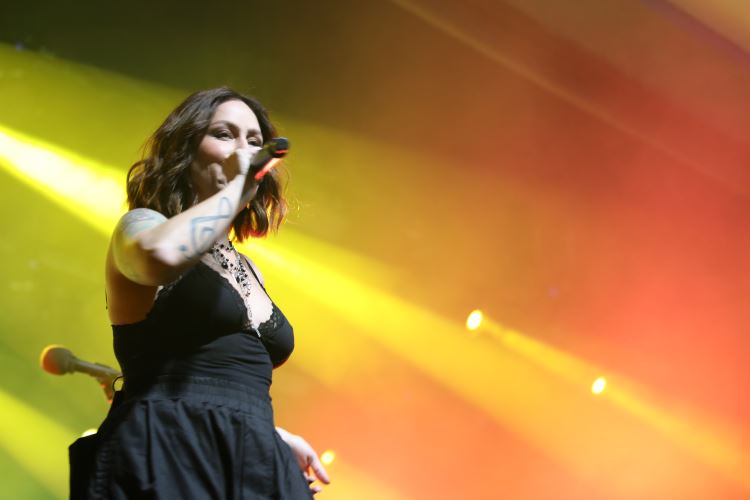 PITTY 3