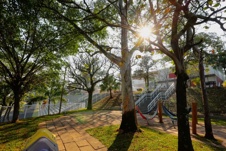 cat sesi limeira redario