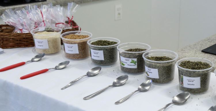 Movimento é SESI 2019 - Matão 