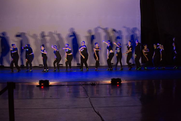 Festival de Dança 2019 - Profissões