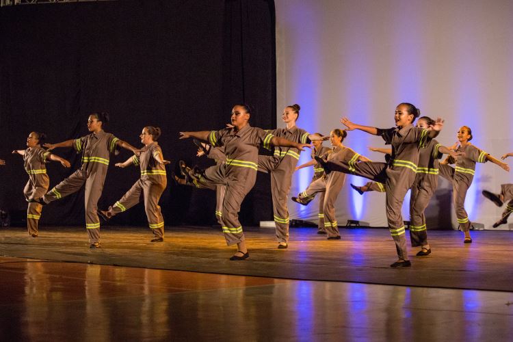 Festival de Dança 2019 - Profissões