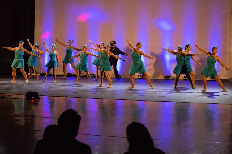 Festival de Dança 2019 - Profissões