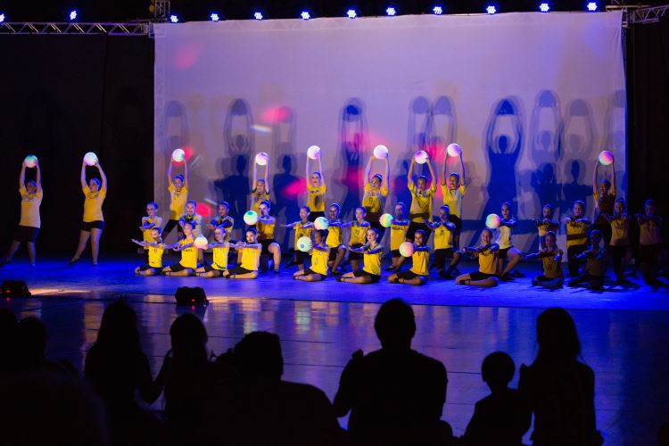 Festival de Dança 2019 - Profissões