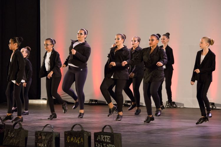 Festival de Dança 2019 - Profissões