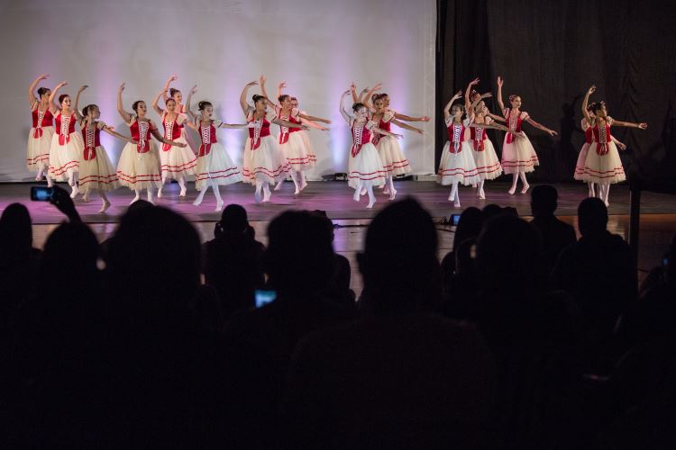 Festival de Dança 2019 - Profissões