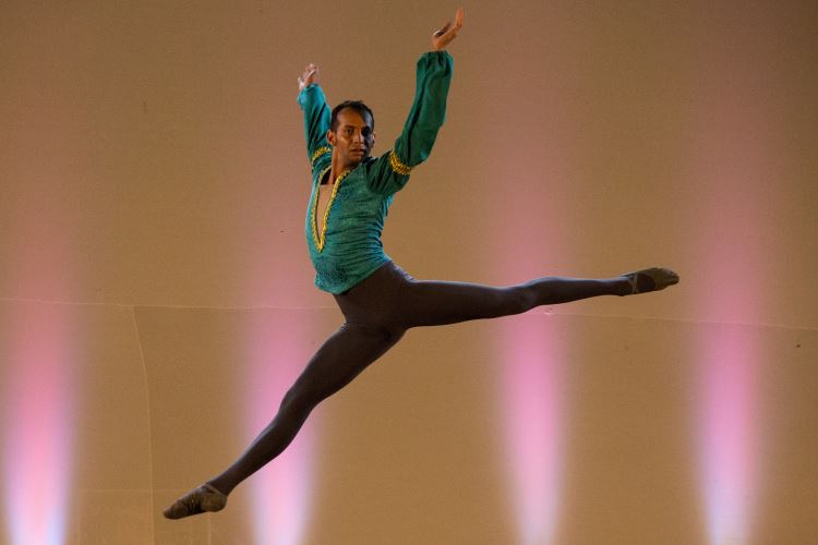 Festival de Dança 2019 - Profissões