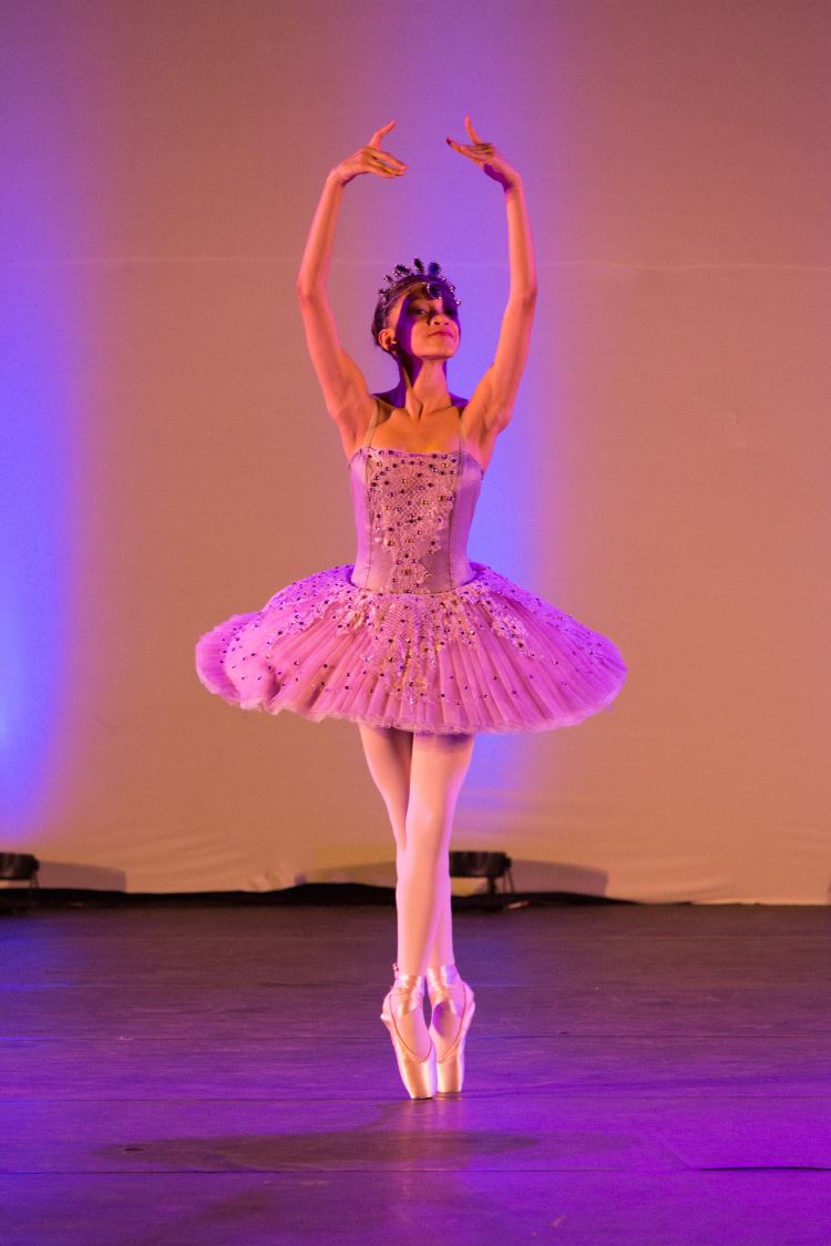 Festival de Dança 2019 - Profissões